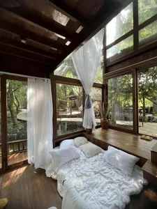 Van Trang's Eco-Garden: A Massive Sanctuary of Greenery - image 0