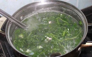The Calcium Bank Leaf: Superfood for Eye and Liver Health - image 4