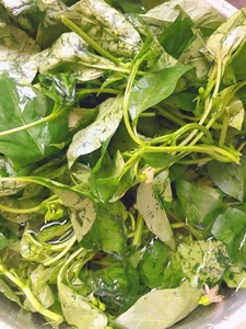The Calcium Bank Leaf: Superfood for Eye and Liver Health - image 2