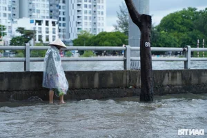 Urban Waterscape: Ho Chi Minh City Navigates Record-Breaking High Tides - image 3