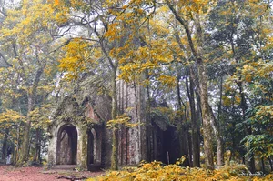 The Ultimate Cloud Hunting Spot Just 1 Hour from Hanoi - image 0