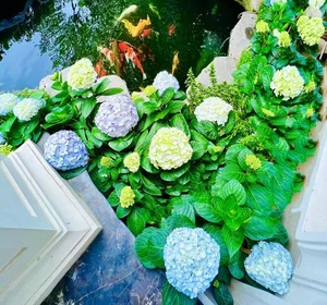 Inside a Floral Paradise: Exploring the Luxurious Villa and Stunning Gardens of a Famous Star - image 2