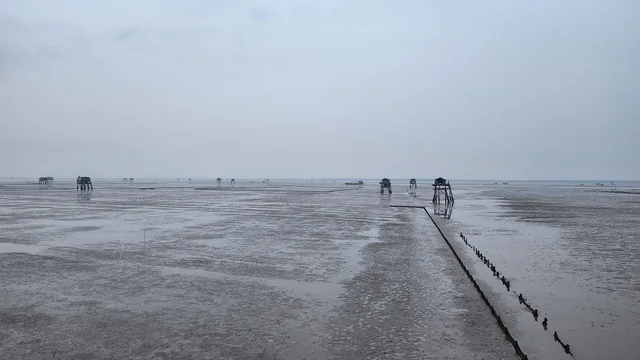 Exploring Hon Ne Island: A Unique Clam Farming Adventure in Vietnam