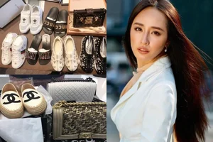 The Extraordinary Wealth of Miss Mai Phuong Thuy: A Life of Luxury - image 4