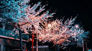 Discover South Korea: Stunning Full HD Wallpapers and Travel Inspiration - image 7