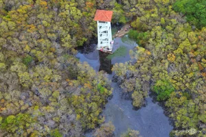 Exploring Ru Cha Mangrove Forest: Hue's Golden Autumn Season - image 3