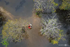 Exploring Ru Cha Mangrove Forest: Hue's Golden Autumn Season - image 2