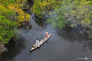 Exploring Ru Cha Mangrove Forest: Hue's Golden Autumn Season - image 7