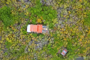 Exploring Ru Cha Mangrove Forest: Hue's Golden Autumn Season - image 4