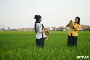 Unique Fieldside Food Market in Ho Chi Minh City Attracts Thousands - image 6