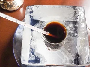 Japan's Unique Coffee Culture: Why Youth are Flocking to Quirky Instagrammable Cafes - image 9