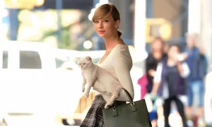 Why Billionaire Taylor Swift Values Love and Family Approval Over Partner's Net Worth - image 6