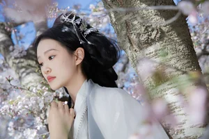 Artistic Vibrance: YiTuYu Art Language Vol.7106 Featuring Miao Miao Miao - image 1