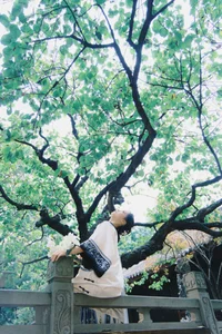 YiTuYu Art Language Vol.8023: The Graceful Charm of Zhu Zhu - image 6