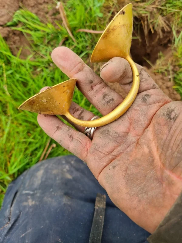 Hobbyist Using Metal Detector Discovers Incredible 3,000-Year-Old Treasure Hoard