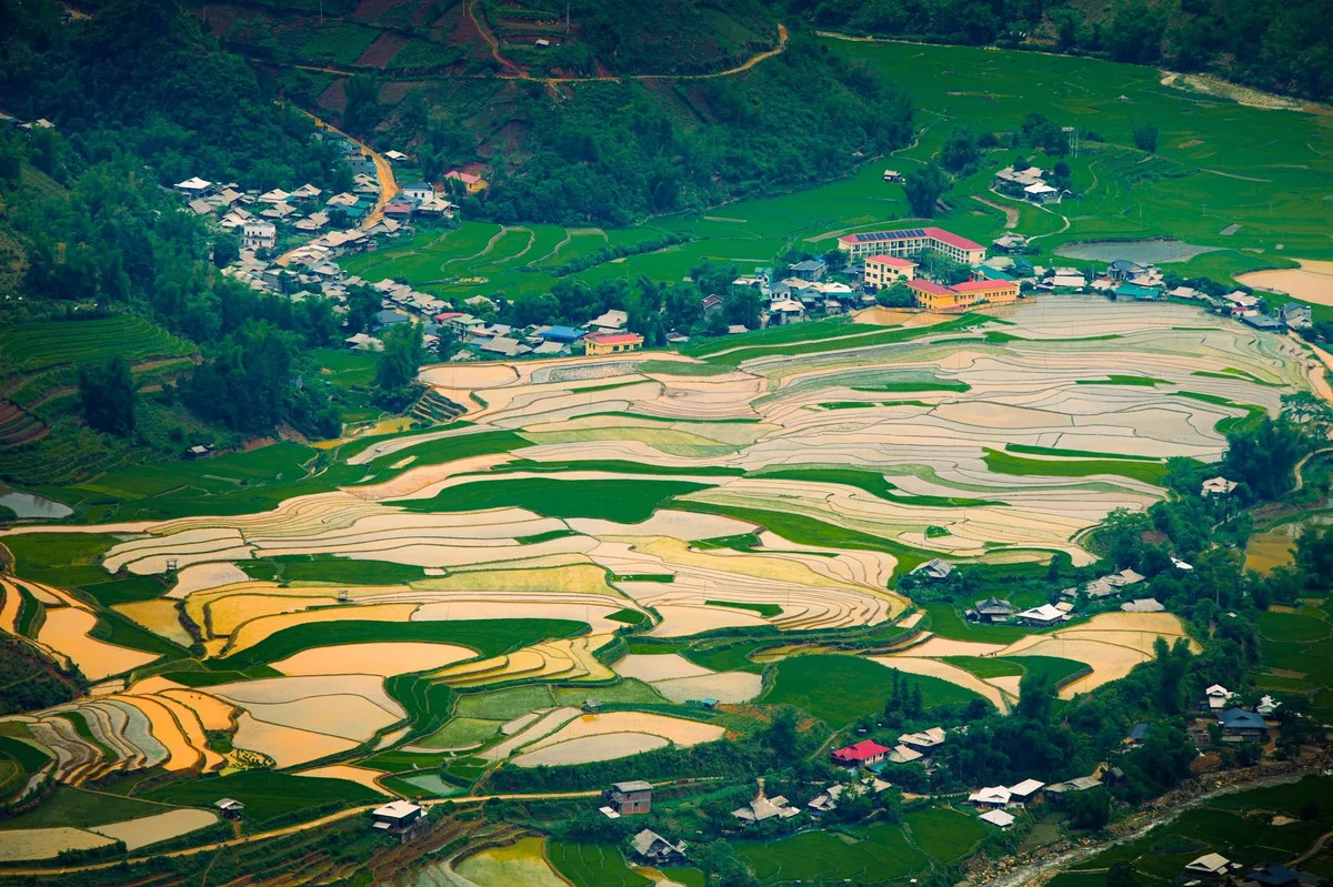 Mu Cang Chai Golden Season: A Guide to Choosing the Best Value Tours