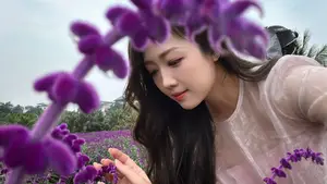 Gentle Beauty Amidst White Cosmos Field A Serene Moment - image 2