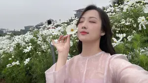Gentle Beauty Amidst White Cosmos Field A Serene Moment - image 13