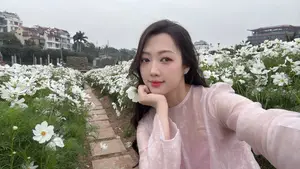 Gentle Beauty Amidst White Cosmos Field A Serene Moment - image 9