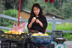 The Remarkable 8-Year Transformation of Ha Giang’s Famous Pear-Selling Girl - image 6