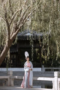Captivating Visual Storytelling: YiTuYu Art Language Vol.6454 with Zhi Yu Qian Deng - image 16