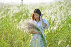 The Enchanting Reed Season Along Thu Bon River in Central Vietnam - image 8