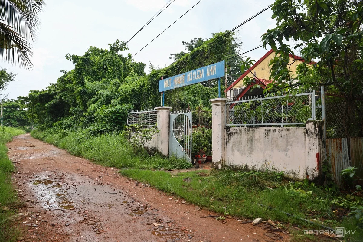 Inside the 150-Hectare Thu Thiem Ecological Park Project in Ho Chi Minh City