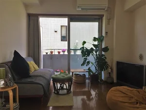 Japanese Smart Layout Secrets: Making Small Spaces Feel Endless and Serene - image 9