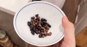 Miko Lan Trinh and Kenji's Red Bean Soup Cooking Fail Sparks Social Media Humour - image 11