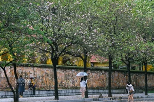 Autumn Charm: Exploring the Streets of Miss Phuong Oanh’s Hometown - image 4