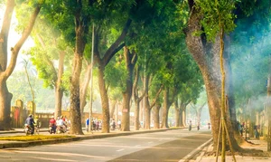 Autumn Charm: Exploring the Streets of Miss Phuong Oanh’s Hometown - image 5