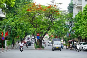 Autumn Charm: Exploring the Streets of Miss Phuong Oanh’s Hometown - image 2