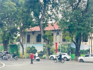 Autumn Charm: Exploring the Streets of Miss Phuong Oanh’s Hometown - image 1