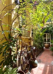 Michelin-Recommended Lotus Cuisine: A Pure Taste of Hanoi - image 5