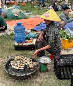 Traditional Grilled Herring: The Coastal Delicacy Earning Millions Daily - image 4