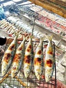 Traditional Grilled Herring: The Coastal Delicacy Earning Millions Daily - image 5