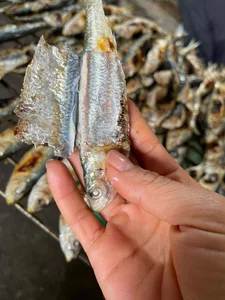 Traditional Grilled Herring: The Coastal Delicacy Earning Millions Daily - image 9