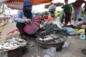 Traditional Grilled Herring: The Coastal Delicacy Earning Millions Daily - image 11