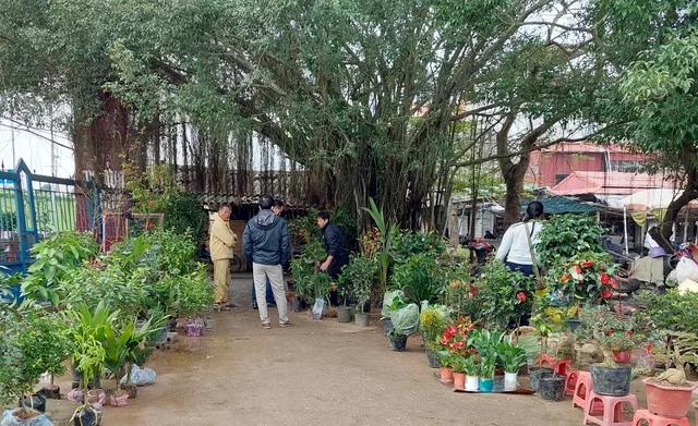 Discover the Vibrant Charm of Traditional Periodic Markets: A Cultural Journey Through Local Heritage