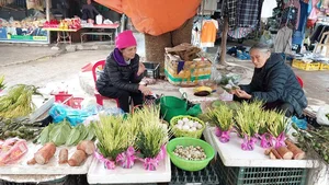 Discover the Vibrant Charm of Traditional Periodic Markets: A Cultural Journey Through Local Heritage - image 4