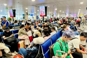 Travel Chaos: Tan Son Nhat Airport Crowded Ahead of Tet Holiday - image 6