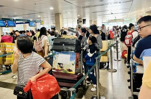 Travel Chaos: Tan Son Nhat Airport Crowded Ahead of Tet Holiday - image 5