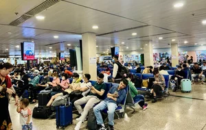 Travel Chaos: Tan Son Nhat Airport Crowded Ahead of Tet Holiday - image 2