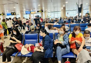 Travel Chaos: Tan Son Nhat Airport Crowded Ahead of Tet Holiday - image 9