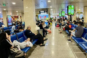 Travel Chaos: Tan Son Nhat Airport Crowded Ahead of Tet Holiday - image 7