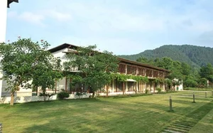 The Architectural Elegance of Diva My Linh’s Eco-Friendly Garden Estate - image 3