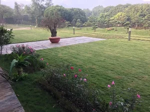 The Architectural Elegance of Diva My Linh’s Eco-Friendly Garden Estate - image 1