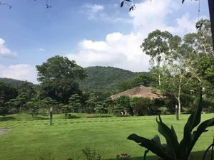 The Architectural Elegance of Diva My Linh’s Eco-Friendly Garden Estate - image 5