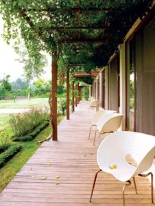 The Architectural Elegance of Diva My Linh’s Eco-Friendly Garden Estate - image 4