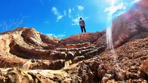 Inspection of the Eco-Tourism Farm Project in Quang Nam Province - image 7